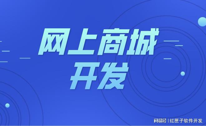 网上商城网站系统开发-网上软件平台源码公司定制方案